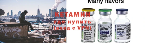 прущие грибы Абинск