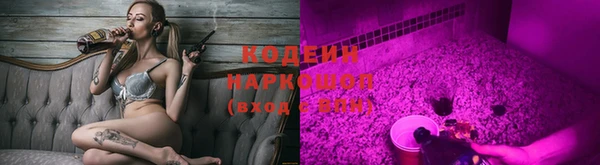 apvp Алзамай