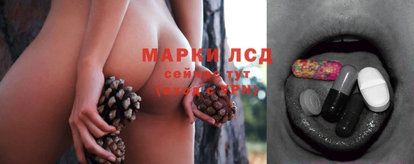 прущие грибы Абинск