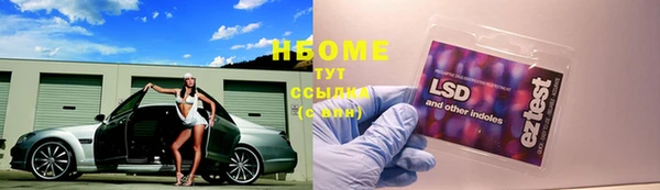 прущие грибы Абинск