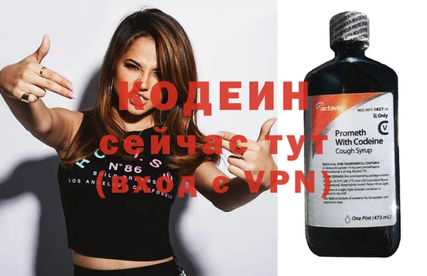 прущие грибы Абинск